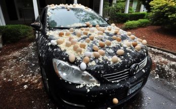 My Neighbor Threw Eggs at My Car Because It Was 'Blocking the View' of His Halloween Decorations