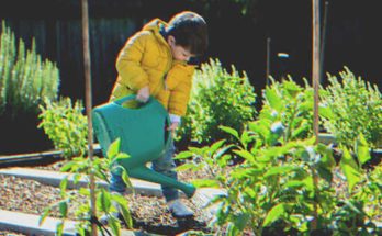 Boy Promises to Water Old Lady's Plants after She Moves to Nursing Home, Finds Note Left in Soil – Story of the Day