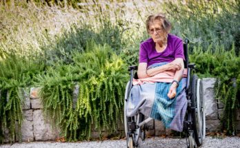 Son Leaves Mom in Wheelchair on the Street, Year Later Sees Her Coming to His House on Her Feet – Story of the Day