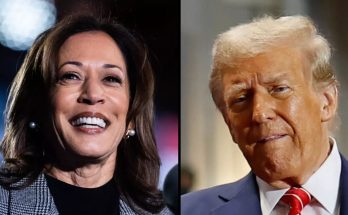 Kamala Harris and Donald Trump key election issues as millions vote in 2024 presidential election