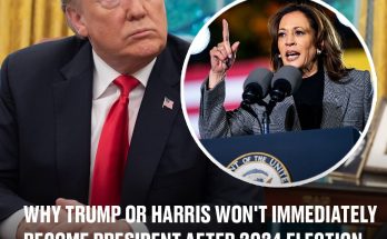 Why Trump or Harris won't immediately become president after 2024 election