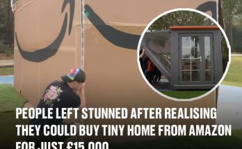 People left stunned after realising they could buy tiny home from Amazon for just £15,000